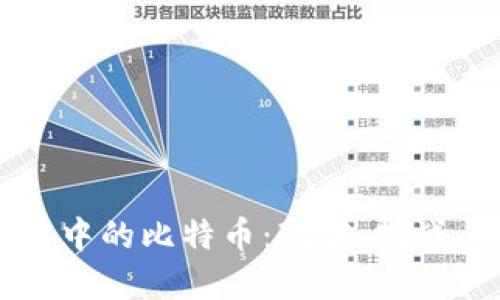 中国区块链中的比特币:现状、挑战与未来发展