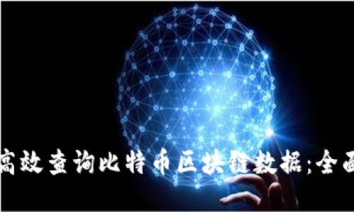 如何高效查询比特币区块链数据:全面指导