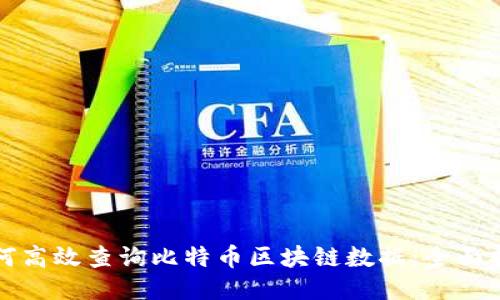 如何高效查询比特币区块链数据:全面指导