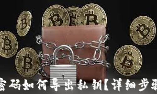 tp钱包忘记密码如何导出私钥?详细步骤与解决方案