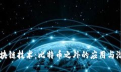 区块链技术：比特币之外的应用与潜力