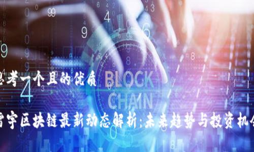 思考一个且的优质
雷宇区块链最新动态解析:未来趋势与投资机会