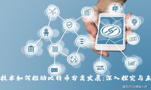 区块链技术如何推动比特币分离发展:深入探究与未来趋势