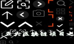 深入探讨PI币：五大区块链项目之一的未来前景