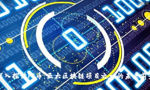 深入探讨PI币:五大区块链项目之一的未来前景