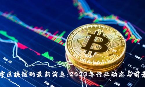 杜宇区块链的最新消息:2023年行业动态与前景分析