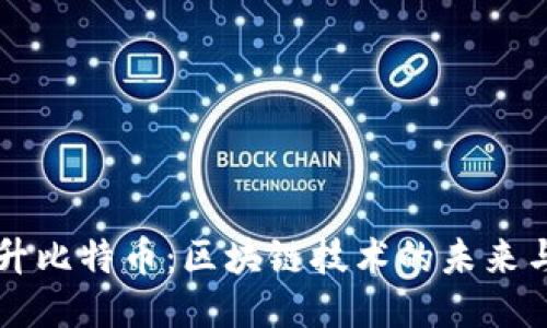 ST高升比特币:区块链技术的未来与应用