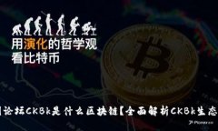 币圈论坛CKBk是什么区块链？全面解析CKBk生态系统