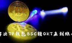 如何解决TP钱包BSC转OKT未到账的问题