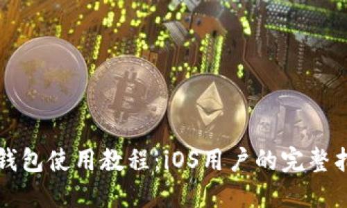 TP钱包使用教程:iOS用户的完整指南