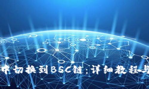 如何在TP钱包中切换到BSC链:详细教程与常见问题解析