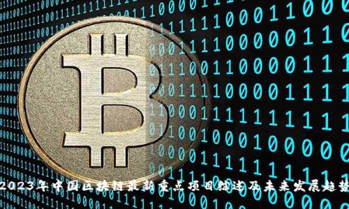 2023年中国区块链最新重点项目综述及未来发展趋势