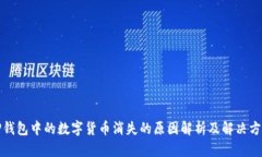 TP钱包中的数字货币消失的原因解析及解决方案