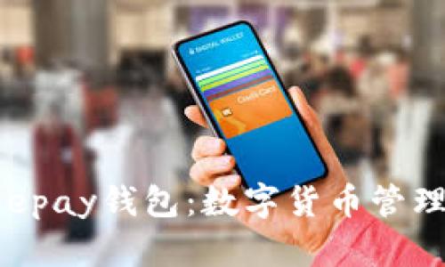 全面解析Beepay钱包:数字货币管理的最佳选择