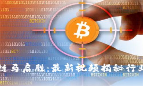 蚂蚁区块链马启胜:最新视频揭秘行业前沿动态