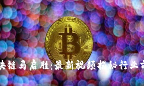 蚂蚁区块链马启胜:最新视频揭秘行业前沿动态