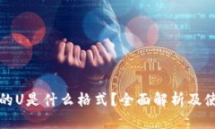 TP钱包的U是什么格式？全面解析及使用指南