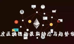 葡度区块链的最新动态与趋势分析